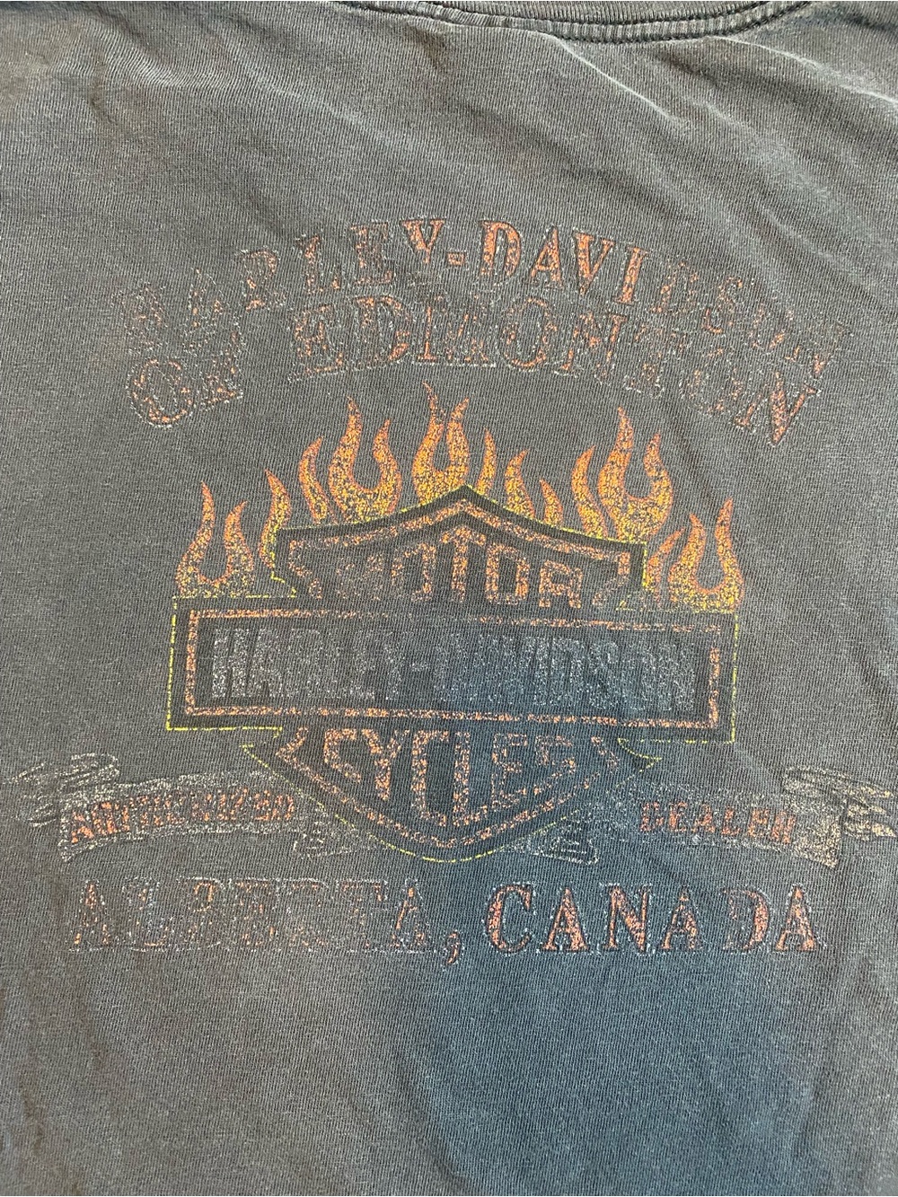 Harley-Davidson Black Tee with Red and Yellow Flame Shield - Edmonton, AB - Picture 5 of 8